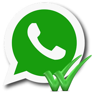whatsapp-galochki-logo